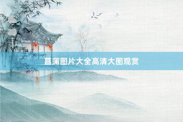 菖蒲图片大全高清大图观赏