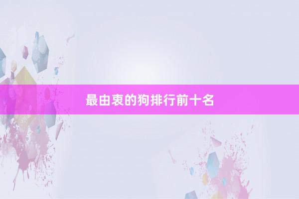 最由衷的狗排行前十名