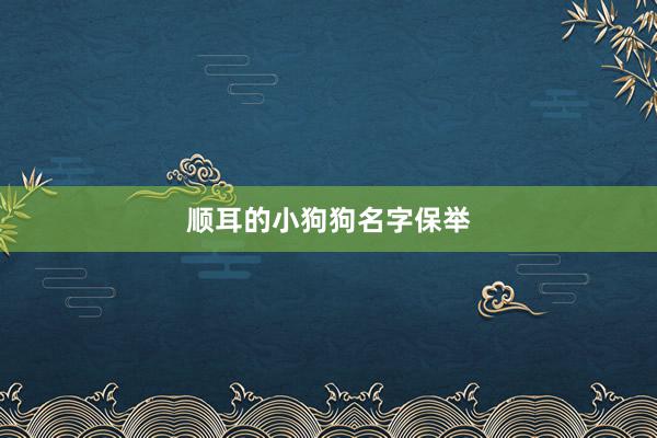 顺耳的小狗狗名字保举