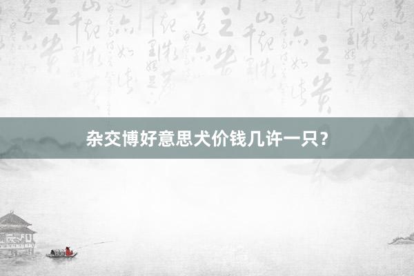 杂交博好意思犬价钱几许一只？