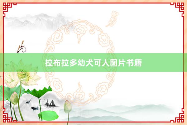 拉布拉多幼犬可人图片书籍